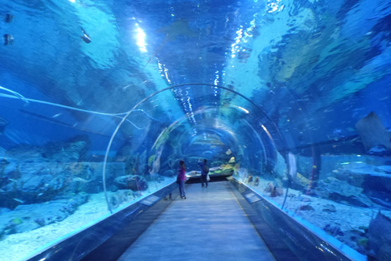 <b>水族工程，就选米乐</b>